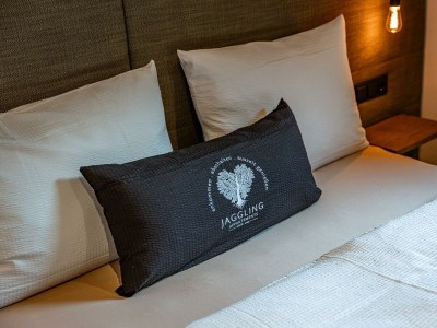 Apartment Top 3 "Rothorn" mit privater Sauna - Features photo 56