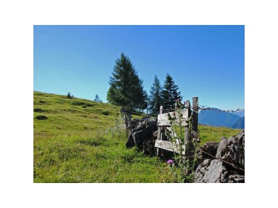 Apartment 11-Personenwohnung - Features photo 59