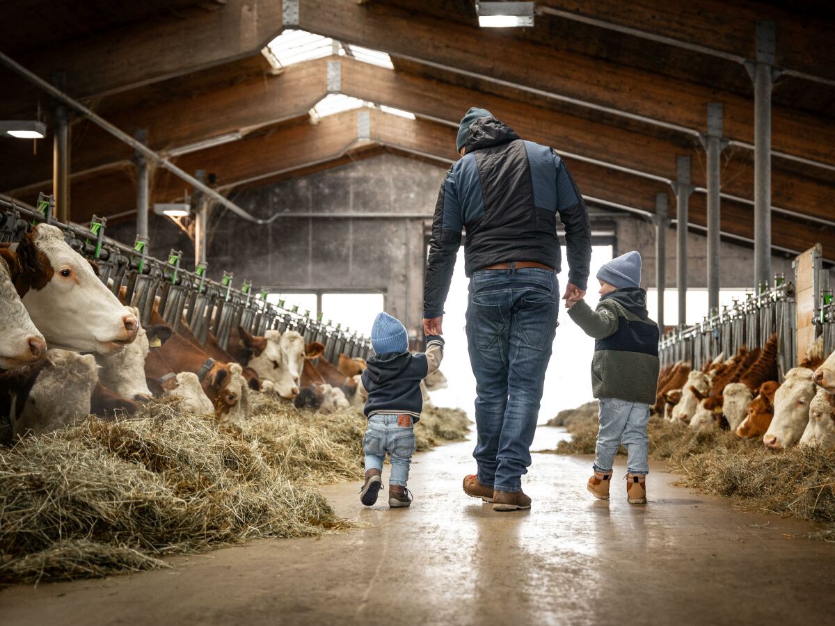 Apartment Top 5 "Schihörndl" - Outdoor photo 3