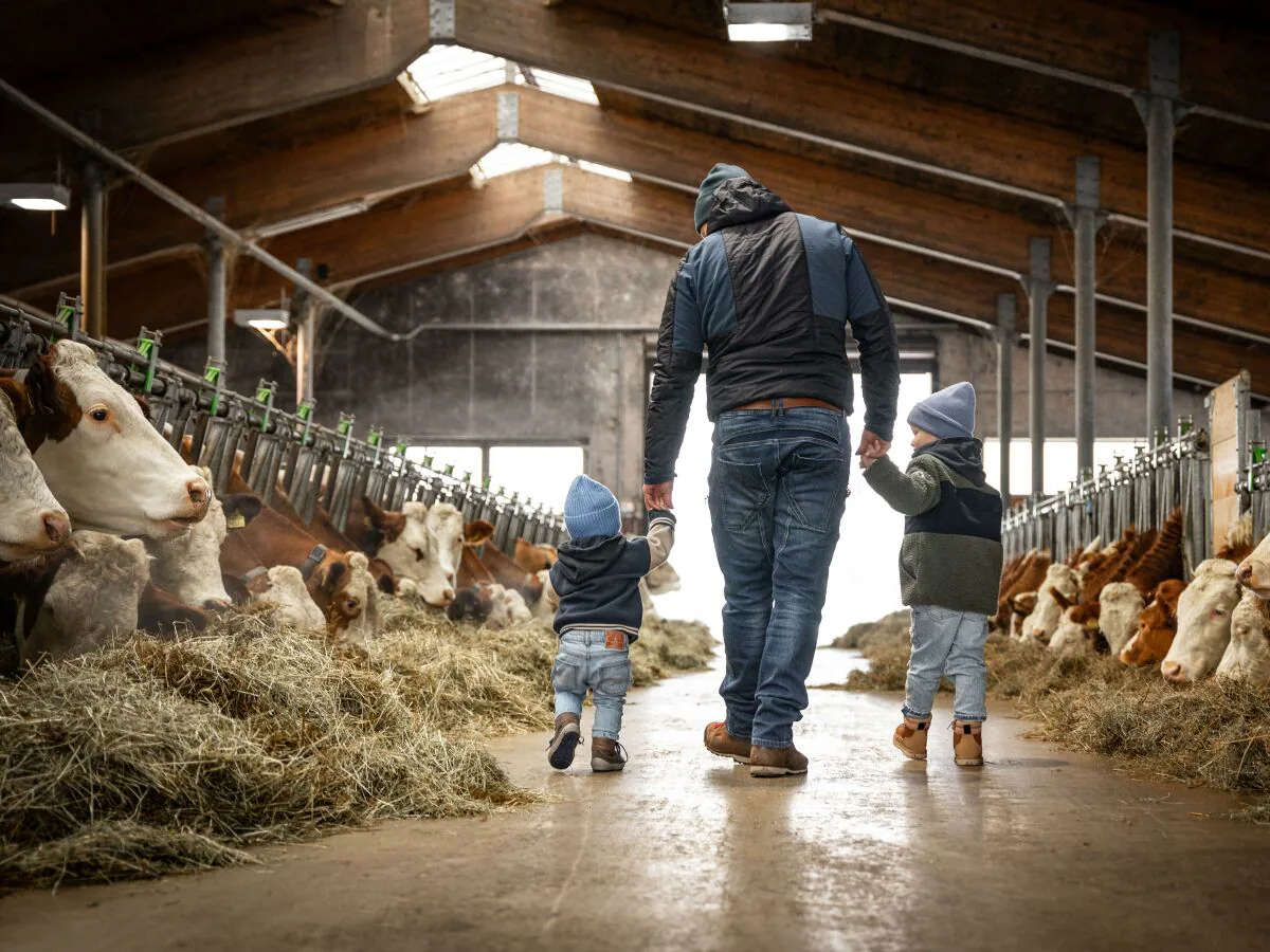 Apartment Top 6 "Ochsenhorn" - Outdoor photo 3