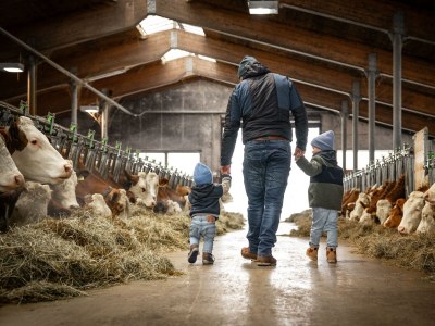 Apartment Top 7 "Geislhorn" - Outdoor photo 3
