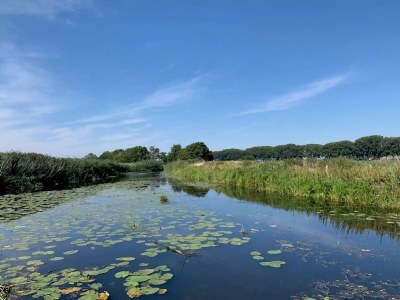 Holiday house Haus in Scherpenisse am Meer für 6 Von Belvilla - Environment photo 31