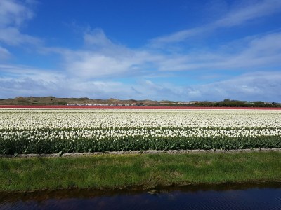 Villa Noordenwind - Environment photo 31
