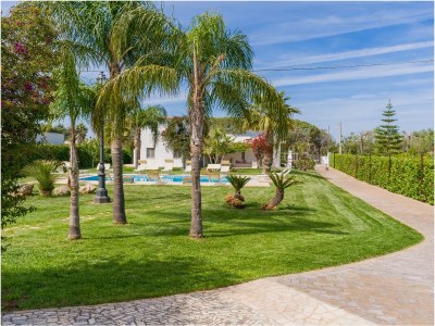 Holiday house Villa with swimming pool - Outdoor photo 13