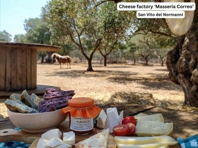 Holiday house Villa with swimming pool - Environment photo 29