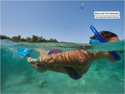 Holiday house Villa with swimming pool - Environment photo 31