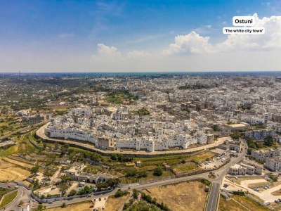 Holiday house Villa with swimming pool - Environment photo 35