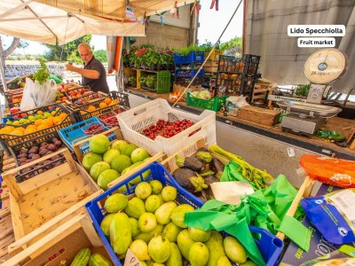 Holiday house La maison de Rosetta - Environment photo 36