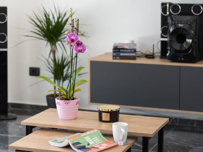 Holiday house Villa Green Luxury & SPA II - Features photo 11