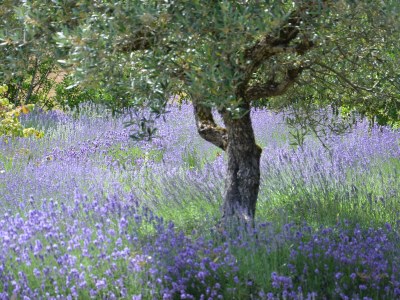 Holiday house No title - Outdoor photo 18