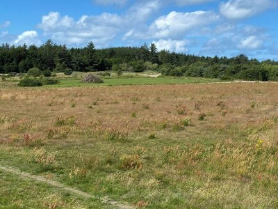 Holiday house Ruhige Strandretreat -- By Traum Ferienwohnungen - Outdoor photo 43