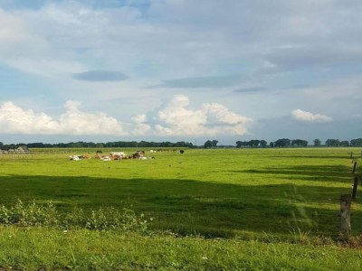 Holiday park Chic Glamping Escape with Pool - Environment photo 17