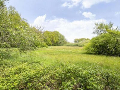 Holiday park Chic Glamping Escape with Pool - Environment photo 22