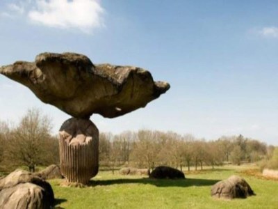 Holiday park Chic Glamping Escape with Pool - Environment photo 25