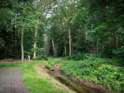 Holiday park Chic Glamping Escape with Pool - Environment photo 30