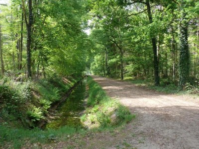 Holiday park Chic Glamping Escape with Pool - Environment photo 32