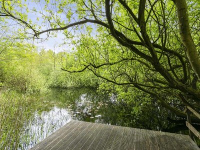 Holiday park Chic Glamping Escape with Pool - Environment photo 34