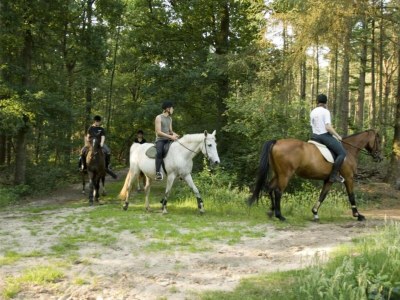 Holiday park Chic Glamping Escape with Pool - Environment photo 35