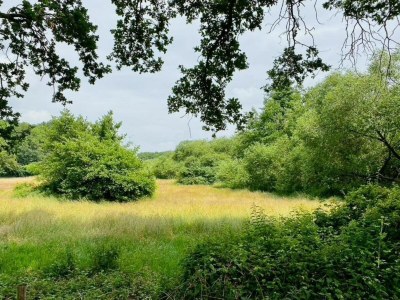 Holiday park Chic Glamping Escape with Pool - Environment photo 36