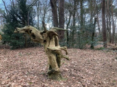 Holiday park Chic Glamping Escape with Pool - Environment photo 38