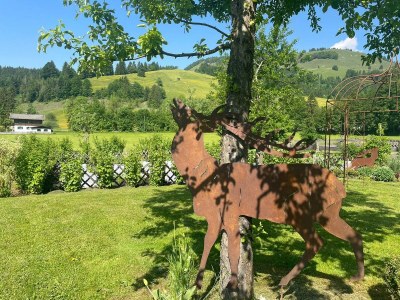 Holiday room Ferienhaus, Dusche, WC, Komfort - Features photo 15