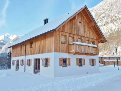 Holiday park Wohnung in Obertraun nahe Dachstein Skigebiet - Outdoor photo 2