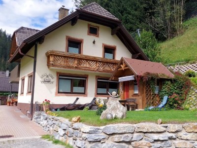 Apartment Salzburg Lungau Nature Apartment in Muhr - Apartment