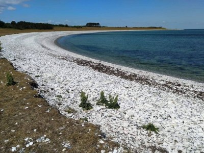 Holiday house 3 person holiday home in Grenaa-By Traum - Outdoor photo 5