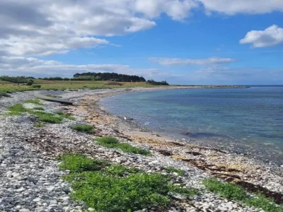 Holiday house 3 person holiday home in Grenaa-By Traum - Outdoor photo 21