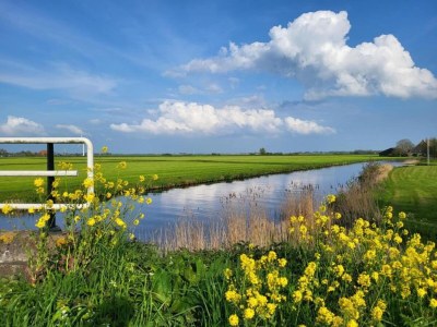 Apartment Apartment in Heeg with Heegermeer Views - Environment photo 29