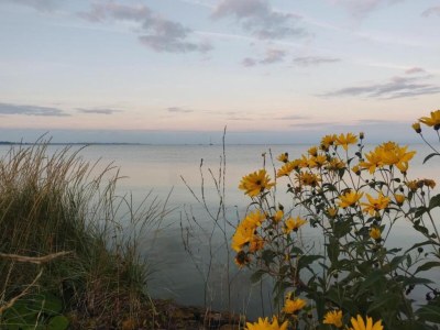 Apartment Apartment in Heeg with Heegermeer Views - Environment photo 30