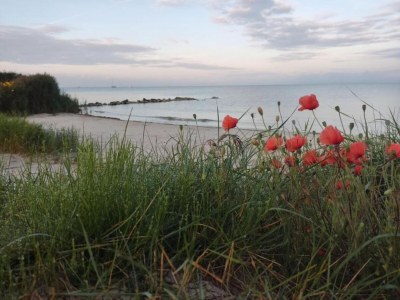 Apartment Apartment in Heeg with Heegermeer Views - Environment photo 32