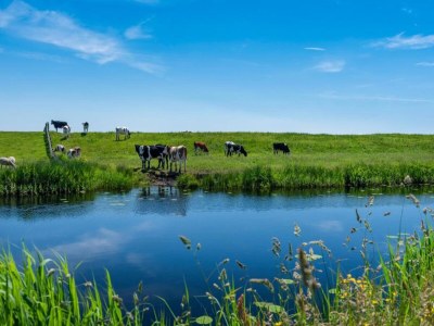 Apartment Apartment in Heeg with Heegermeer Views - Environment photo 33