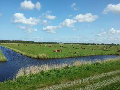 Holiday house Villa Blaubeer - Environment photo 18