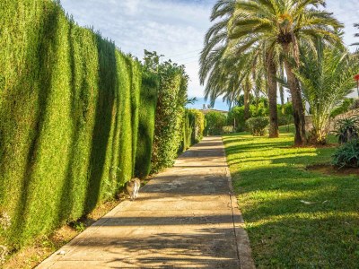 Holiday house Casa Calma by Dream Hosting Alc - Outdoor photo 7