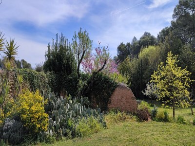 Holiday house Tranquil Villa, Nature’s Embrace - Outdoor photo 4