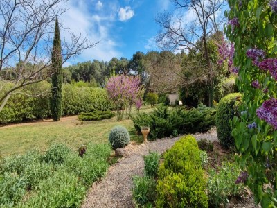 Holiday house Tranquil Villa, Nature’s Embrace - Outdoor photo 11