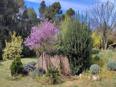 Holiday house Tranquil Villa, Nature’s Embrace - Outdoor photo 12