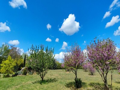 Holiday house Tranquil Villa, Nature’s Embrace - Outdoor photo 13