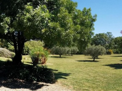 Holiday house Tranquil Villa, Nature’s Embrace - Environment photo 29