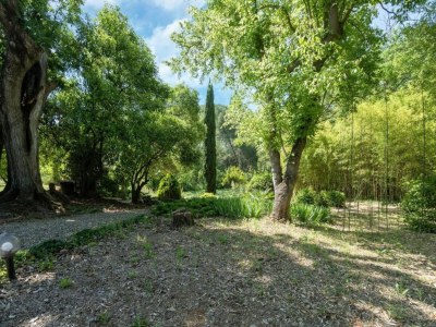 Holiday house Tranquil Villa, Nature’s Embrace - Environment photo 32