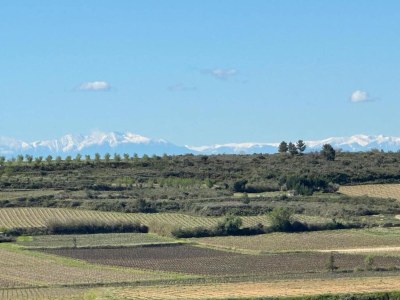 Holiday house Tranquil Villa, Nature’s Embrace - Environment photo 33