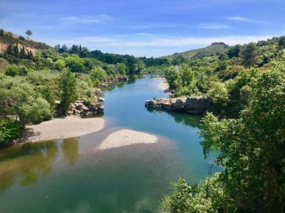 Holiday house Tranquil Villa, Nature’s Embrace - Environment photo 37