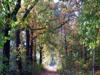 Holiday house Malerischer Aufenthalt in der Nähe von Stadt und See - Environment photo 28