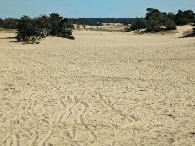 Holiday house Malerischer Aufenthalt in der Nähe von Stadt und See - Environment photo 32