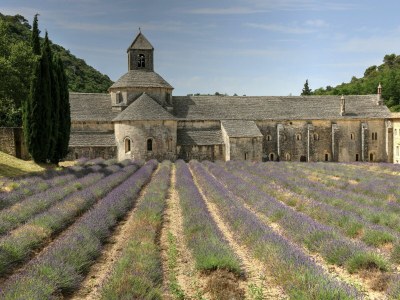Holiday house "Les Dimanches" with private pool in a dream garden - Environment photo 23