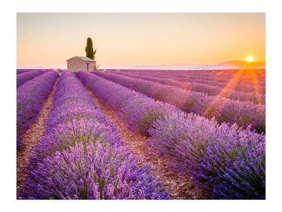 Holiday house "Les Dimanches" with private pool in a dream garden - Environment photo 24