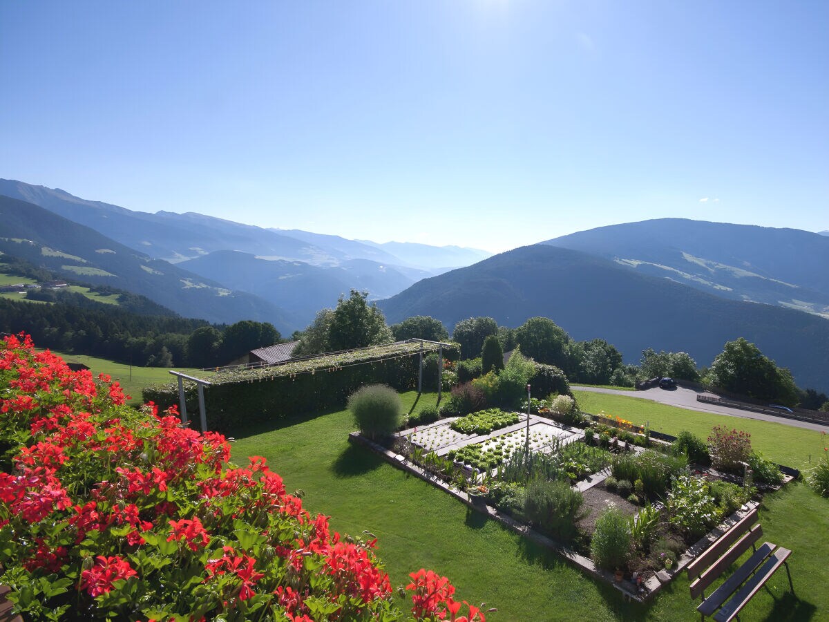 Holiday apartment Haselstaude - Outdoor photo 3