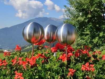 Holiday apartment Haselstaude - Outdoor photo 5