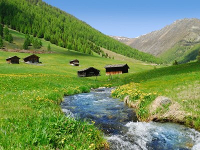 Holiday apartment Haselstaude - Environment photo 17